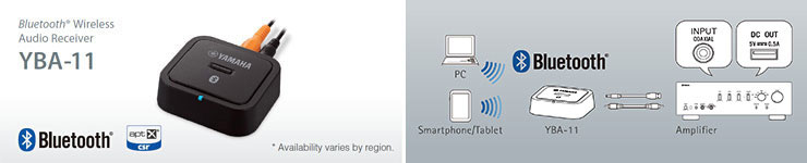 Adaptador Bluetooth opcional